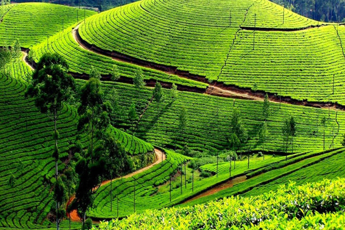 Praveen Cabs Ooty Package